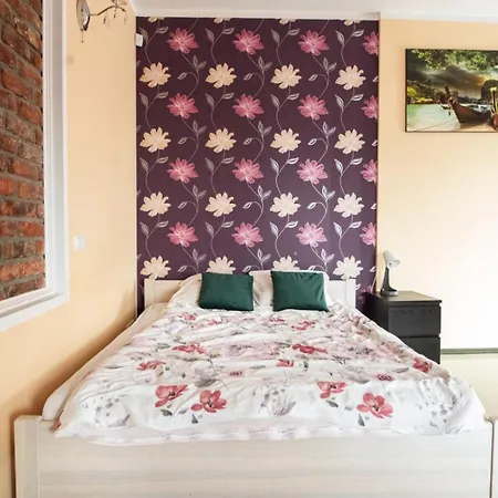 Homely Sauna, Jacuzzi And Free Parking Pensjonat